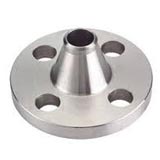 Titanium Weldo Flange